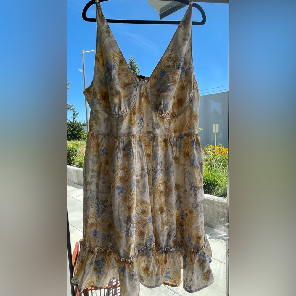 Cider Dress Size 4XL NWT